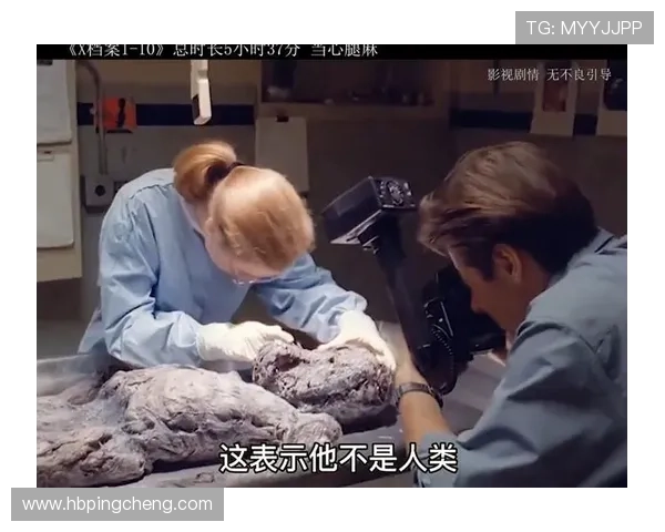 围绕美剧X档案在豆瓣的悬疑文化热度与经典线索再发现 围绕美剧X档案在豆瓣的悬疑文化热度与经典线索再发现