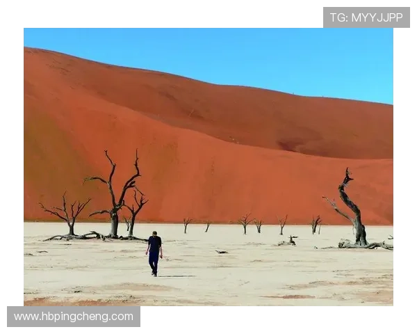 沙丘:300分钟不够看!8个隐藏剧情深度解析 沙丘:300分钟不够看!8个隐藏剧情深度解析