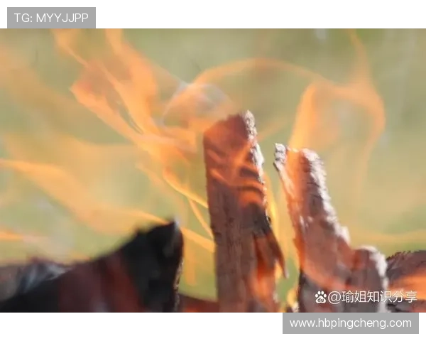 烈火雄心1：点燃你内心深处那团不灭的火焰