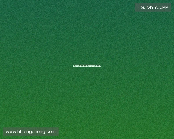 万水千山风雨情：人生旅途中的温暖与力量